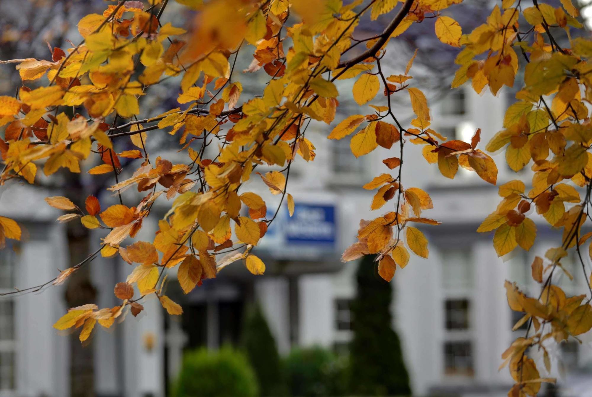 Best Western New Kent Hotel Νιούκασλ Εξωτερικό φωτογραφία